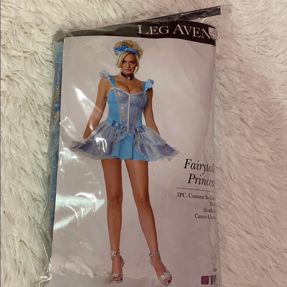 Fairytale Princess / Cinderella Costume